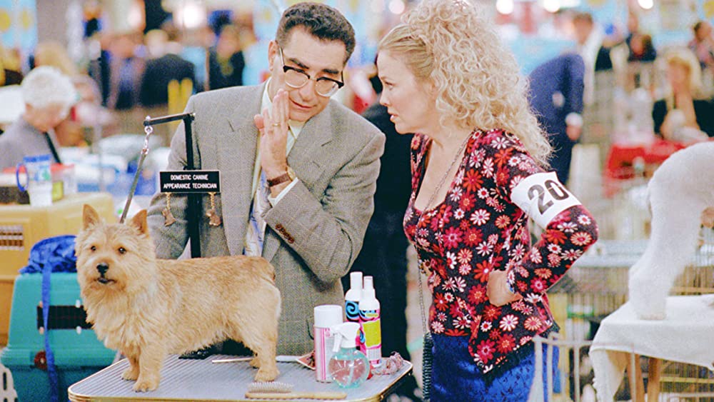 ドッグ・ショウ！の画像