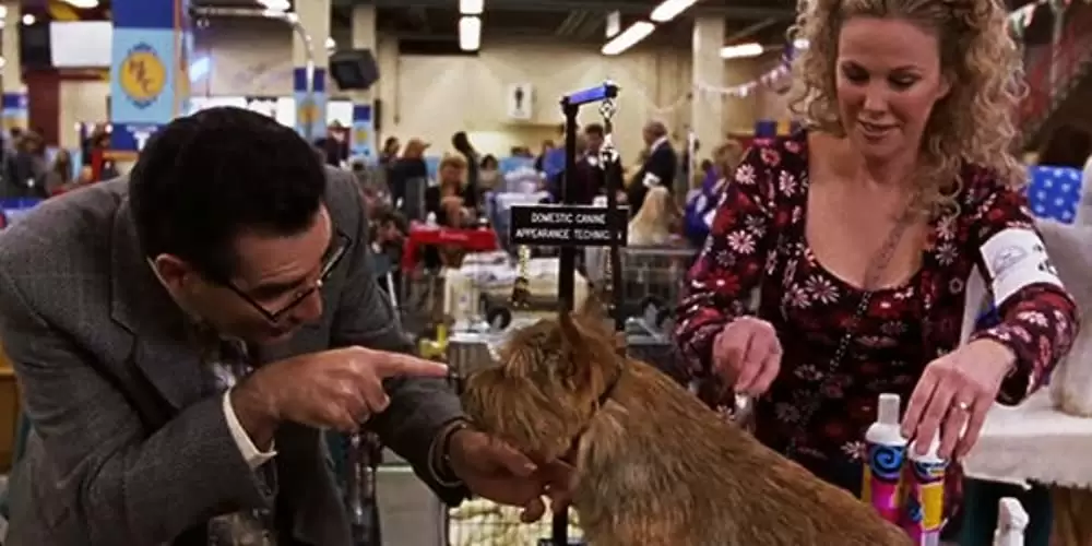 ドッグ・ショウ！の画像