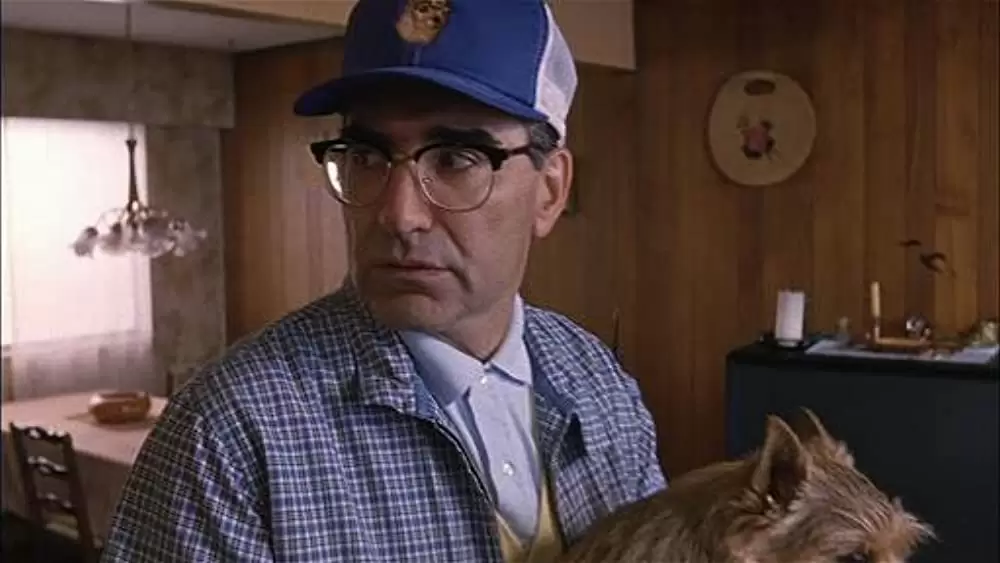 ドッグ・ショウ！の画像