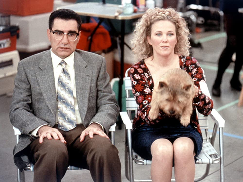 ドッグ・ショウ！の画像