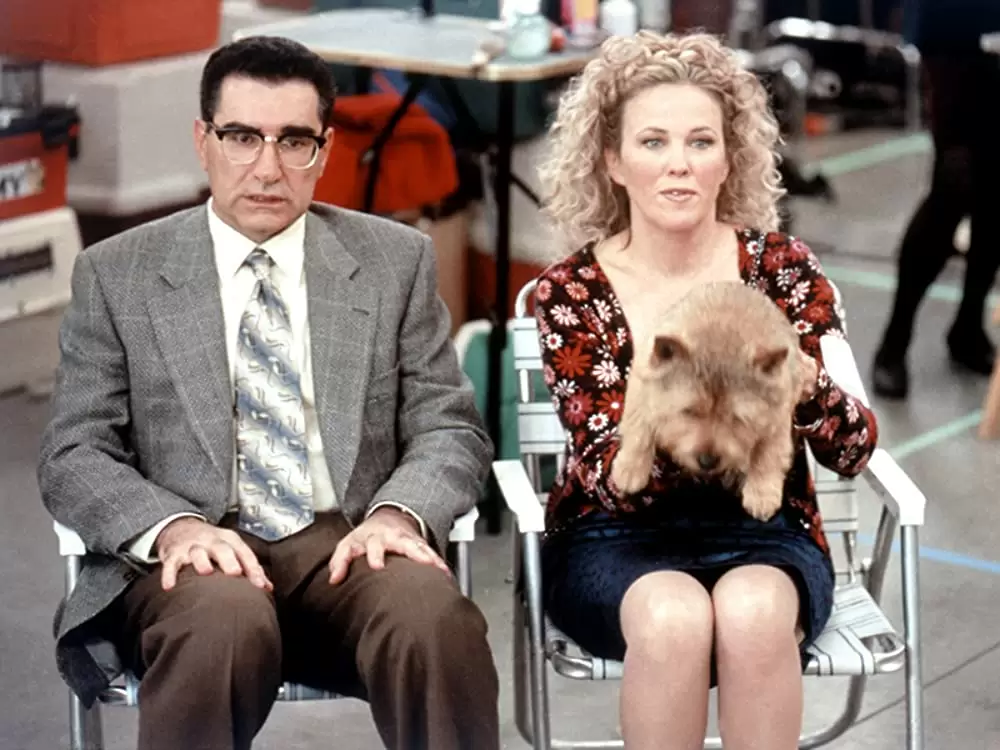 ドッグ・ショウ！の画像