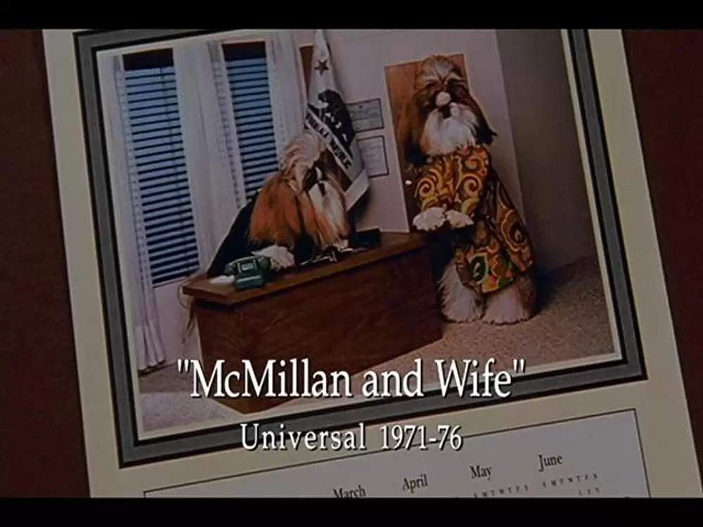 ドッグ・ショウ！の画像