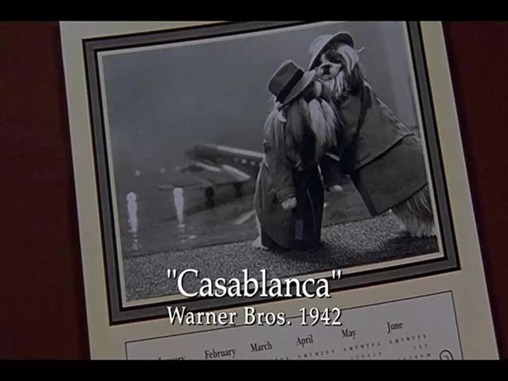 ドッグ・ショウ！の画像