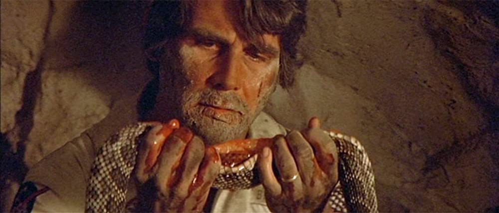 カプリコン・1の画像