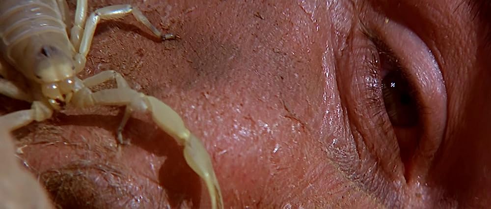 カプリコン・1の画像