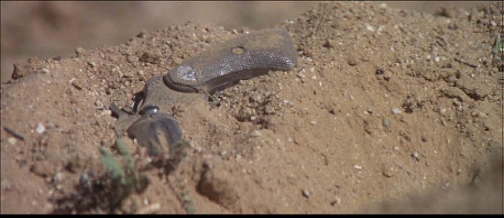 カプリコン・1の画像