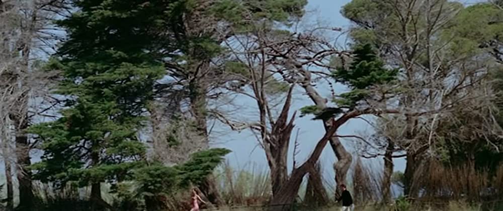 気狂いピエロの画像