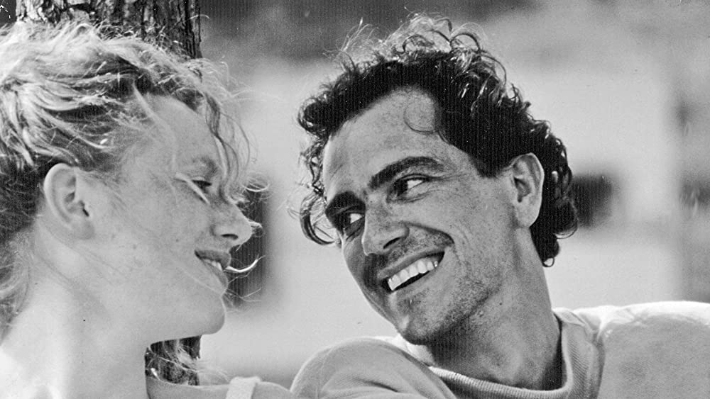 ザ・バニシング-消失-の画像