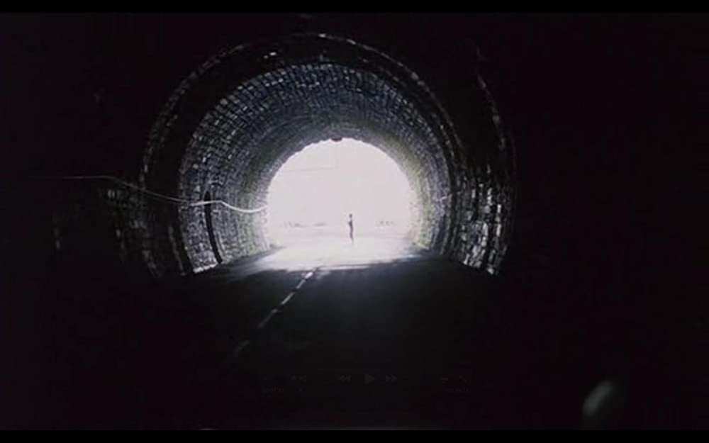 ザ・バニシング-消失-の画像