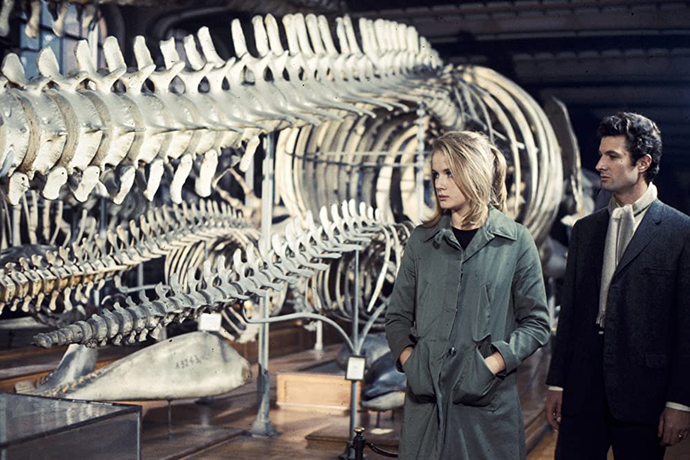 「やさしい女」ギイ・フライジャン & ドミニク・サンダの画像