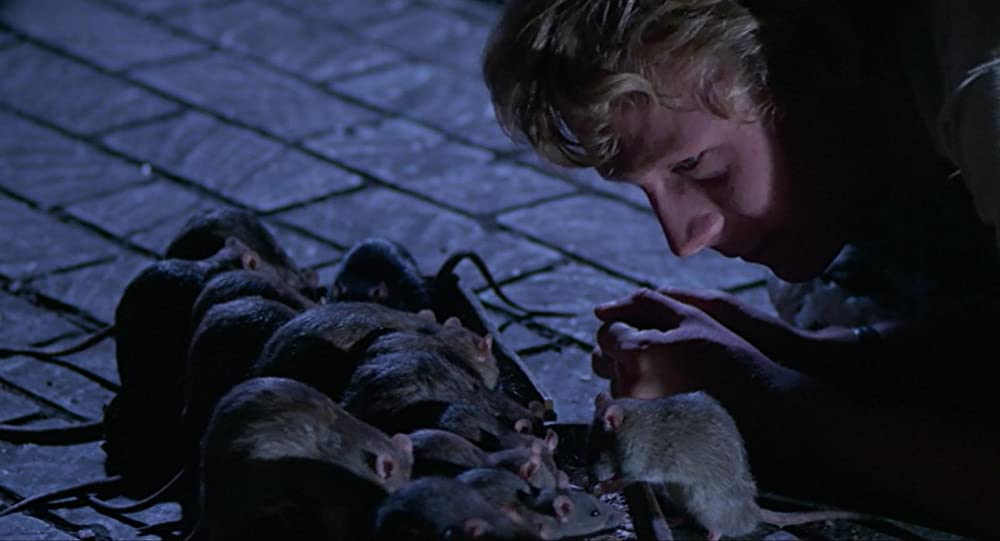 ウイラードの画像