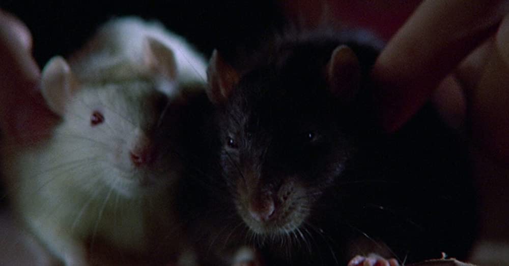 ウイラードの画像