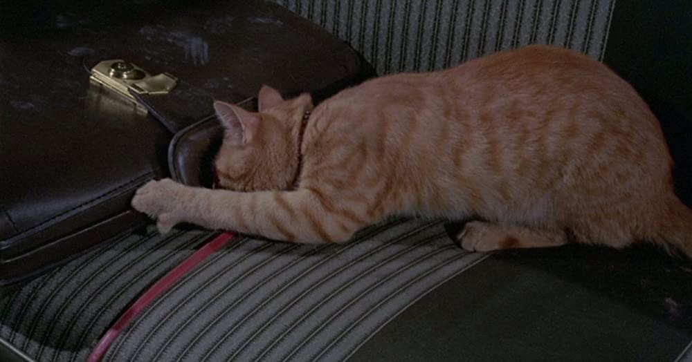 ウイラードの画像