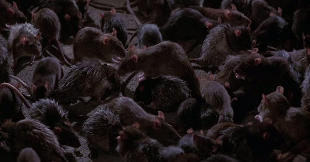 ウイラードの画像