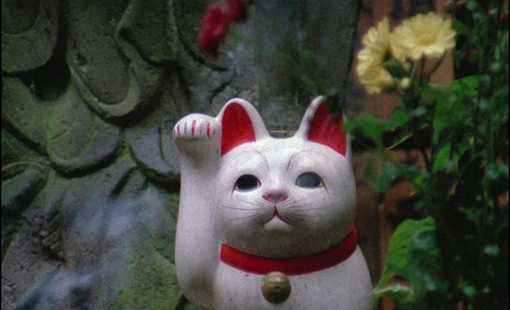 サン・ソレイユの画像