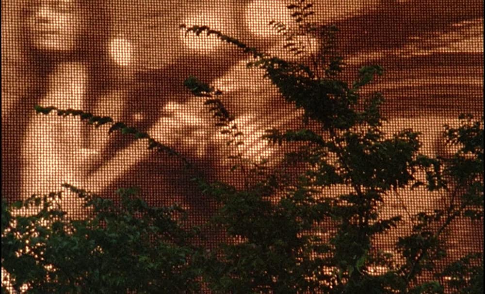 「サン・ソレイユ」の画像