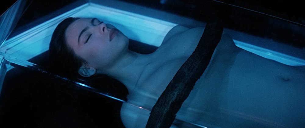 スペースバンパイアの画像