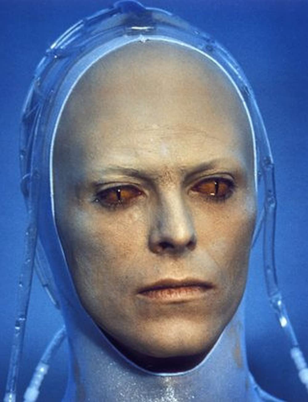 地球に落ちて来た男の画像