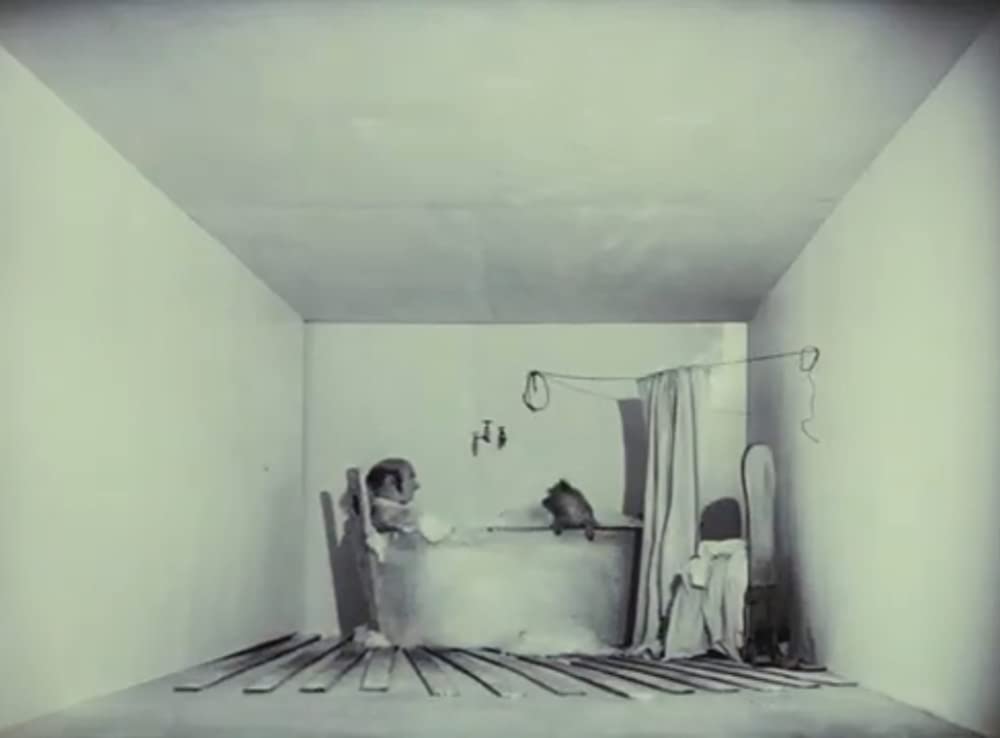 天使／L’ANGE デジタルリマスター版の画像