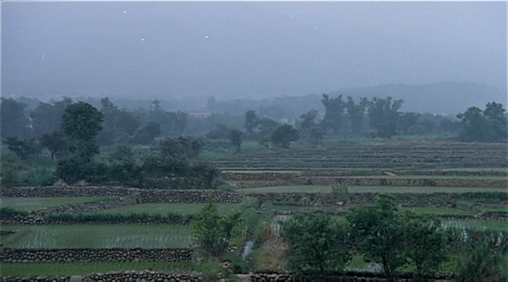 冬冬の夏休みの画像