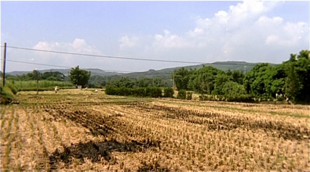 冬冬の夏休みの画像