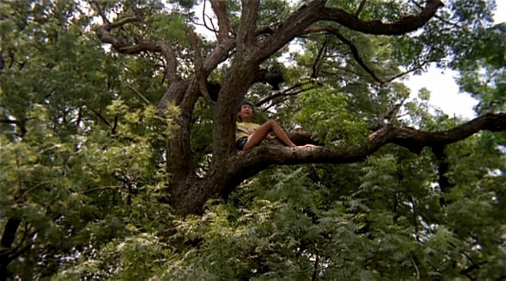 冬冬の夏休みの画像