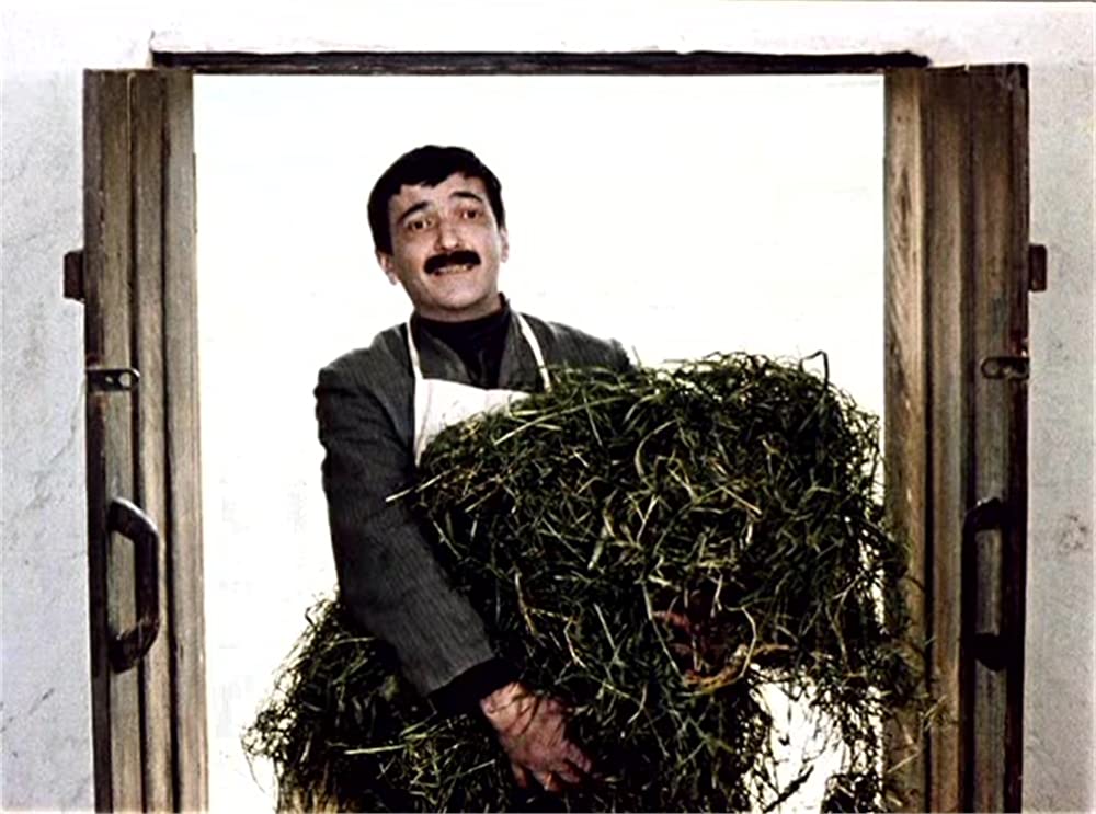 放浪の画家 ピロスマニの画像