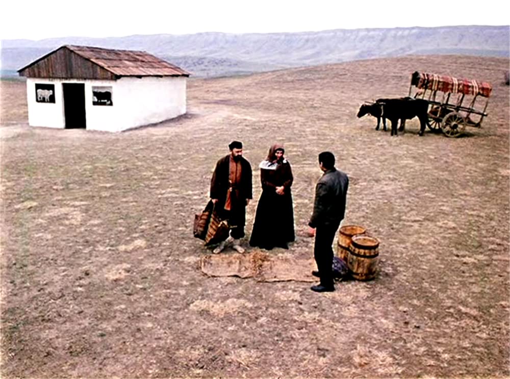 放浪の画家 ピロスマニの画像