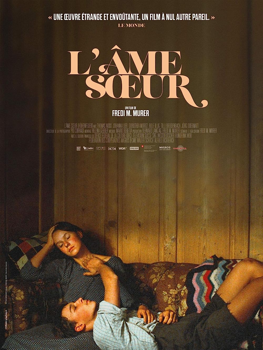 山の焚火の画像