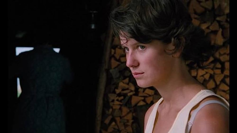 山の焚火の画像