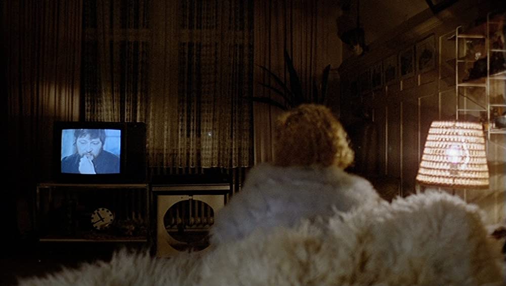 「13回の新月のある年に」の画像