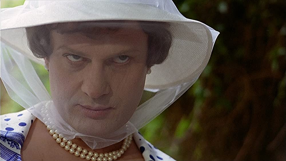 13回の新月のある年にの画像