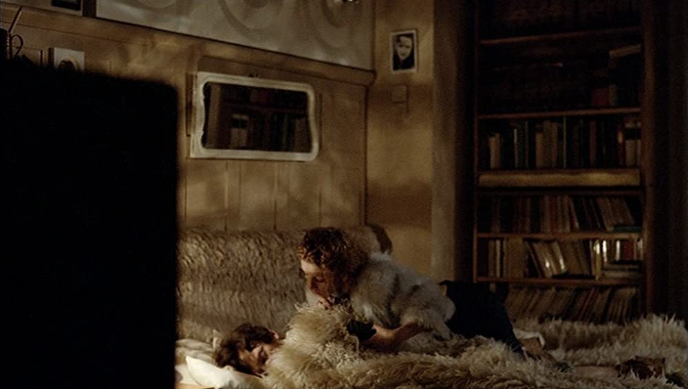 「13回の新月のある年に」の画像