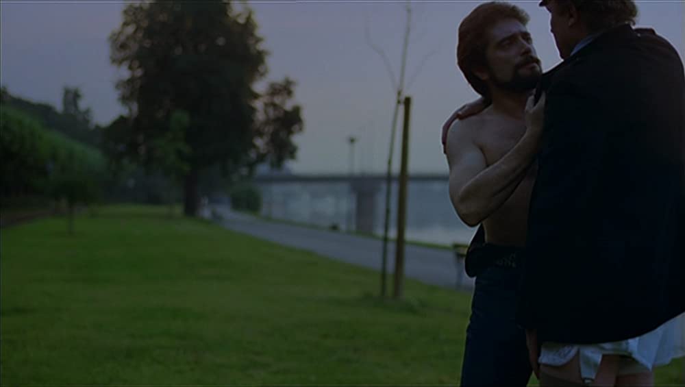 「13回の新月のある年に」の画像