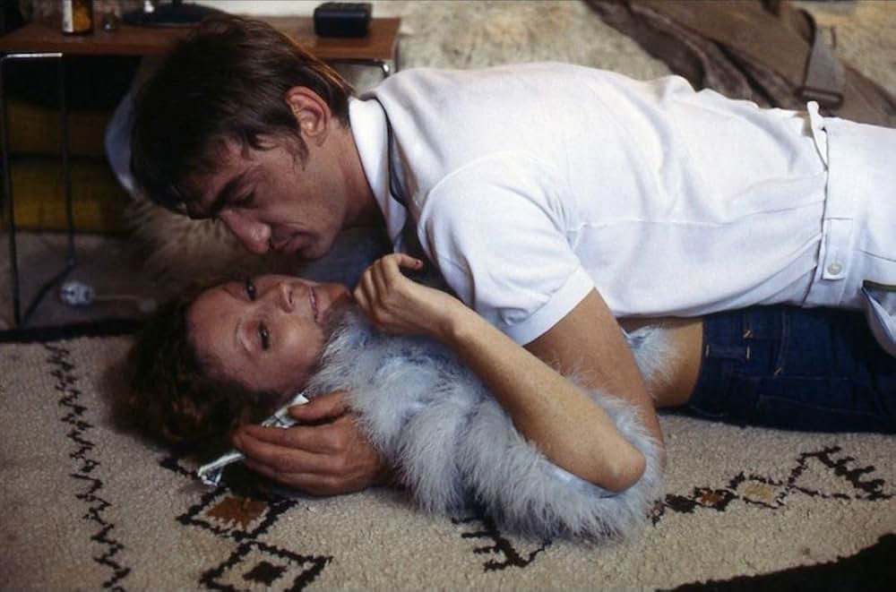 「13回の新月のある年に」の画像