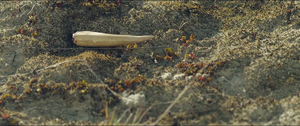 ウォーキング with ダイナソーの画像