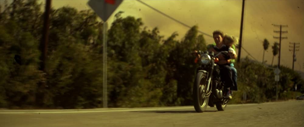 ベルフラワーの画像