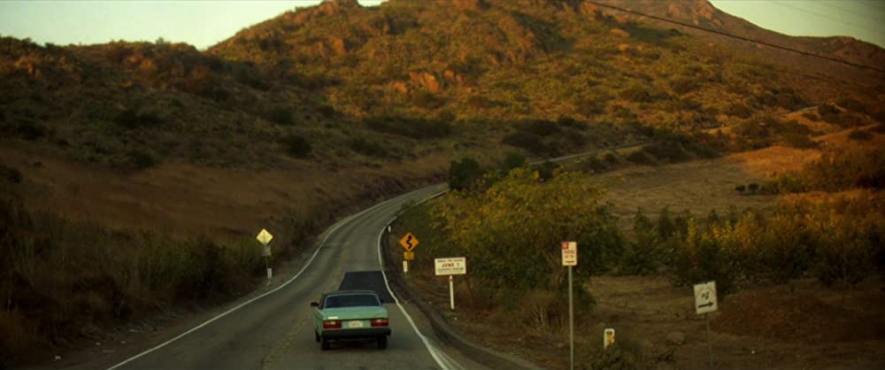 ベルフラワーの画像