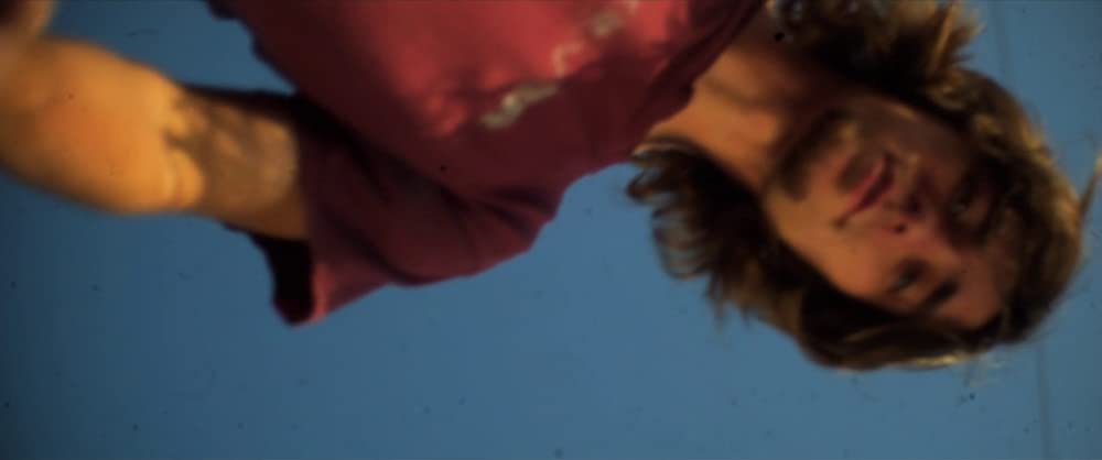 ベルフラワーの画像