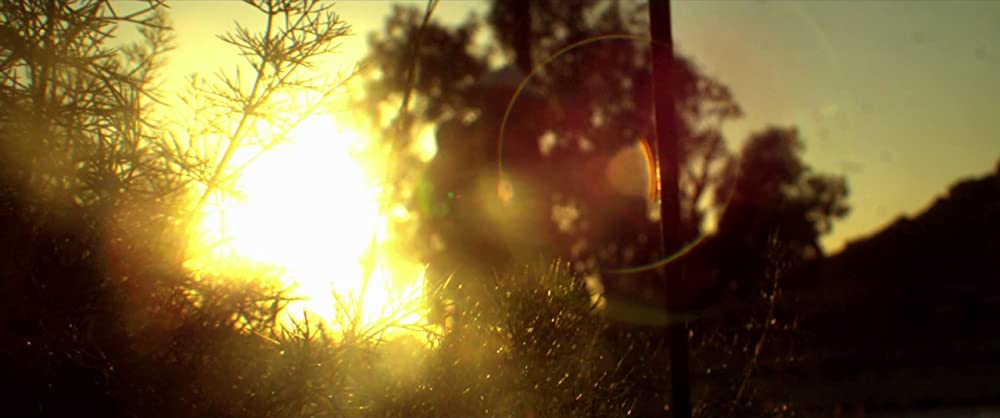 ベルフラワーの画像