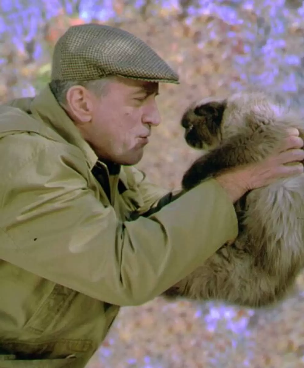 ミート・ザ・ペアレンツの画像