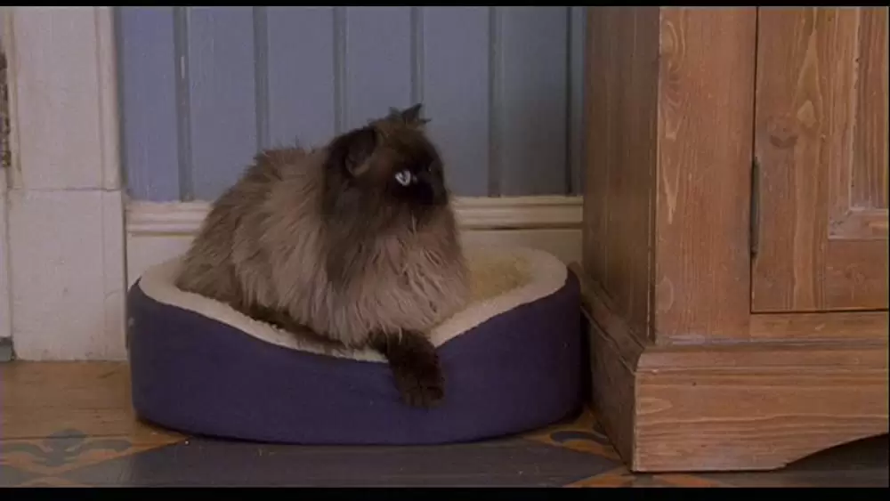 ミート・ザ・ペアレンツの画像