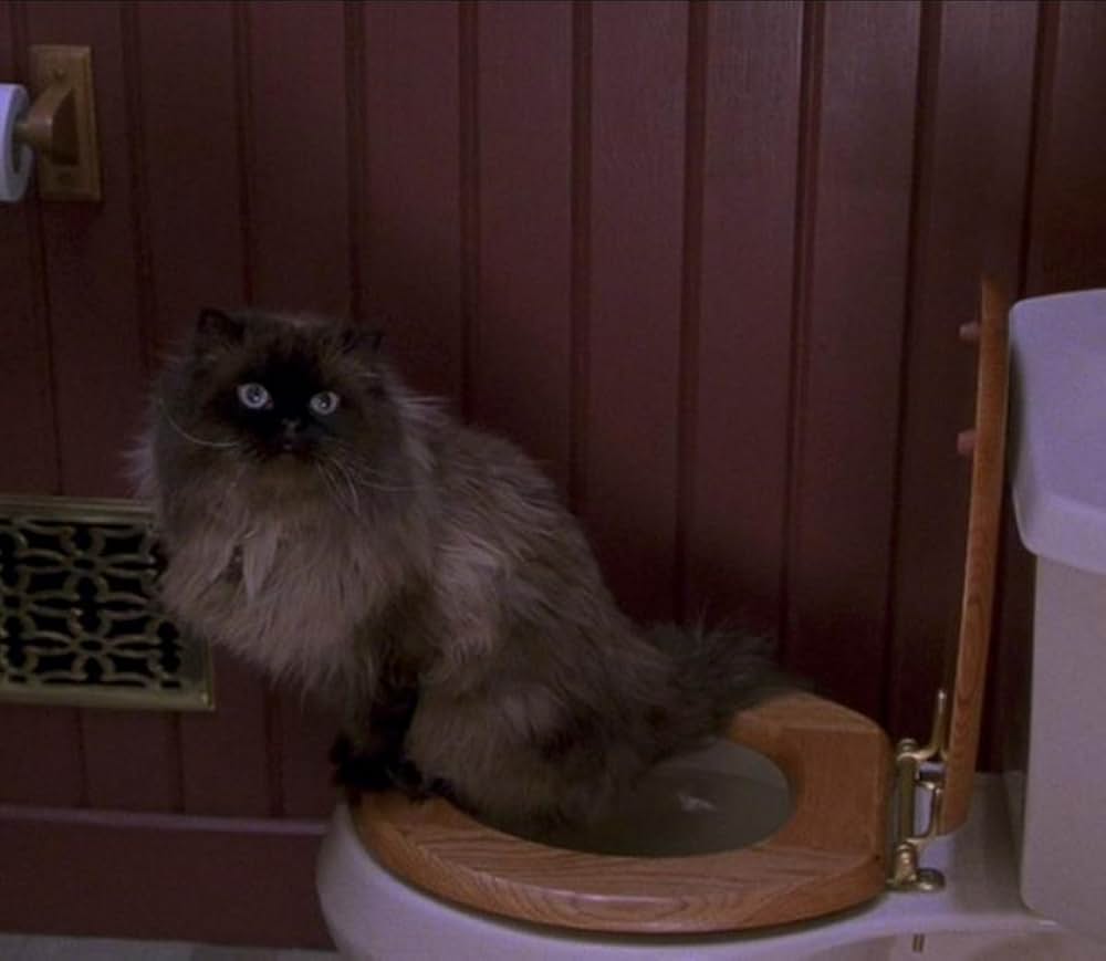 ミート・ザ・ペアレンツの画像