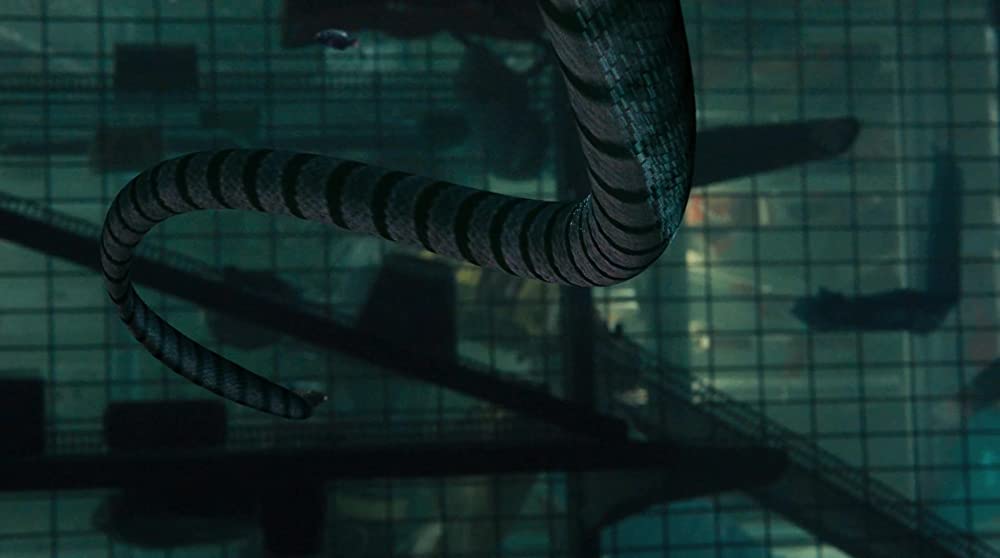 パニック・マーケット3Dの画像