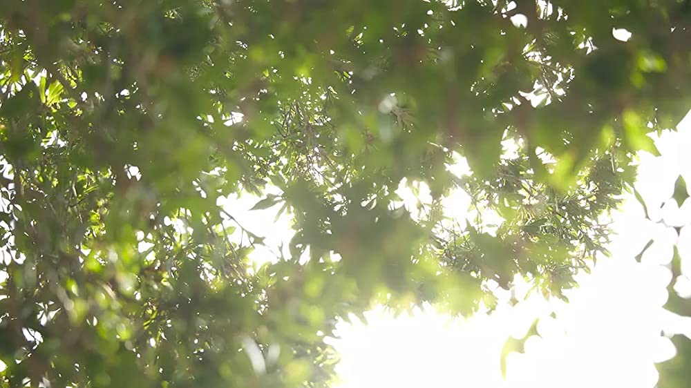 すーちゃん まいちゃん さわ子さんの画像