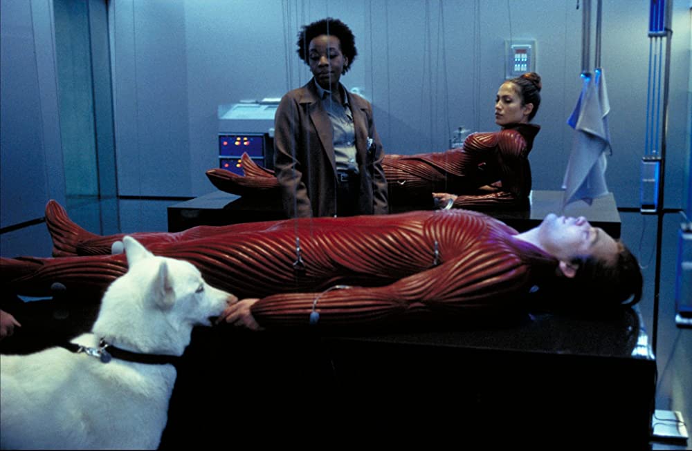 ザ・セルの画像