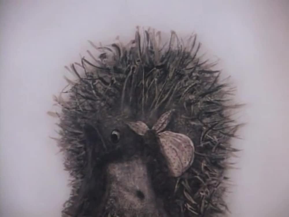 霧の中のハリネズミ／霧につつまれたハリネズミの画像