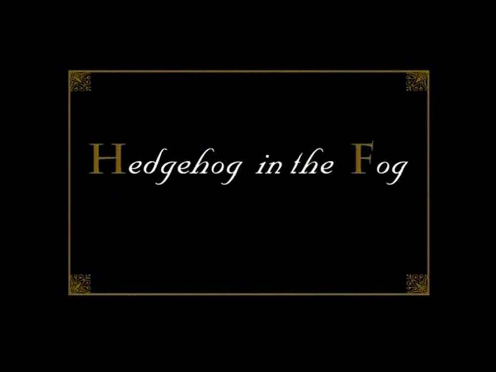 霧の中のハリネズミ／霧につつまれたハリネズミの画像