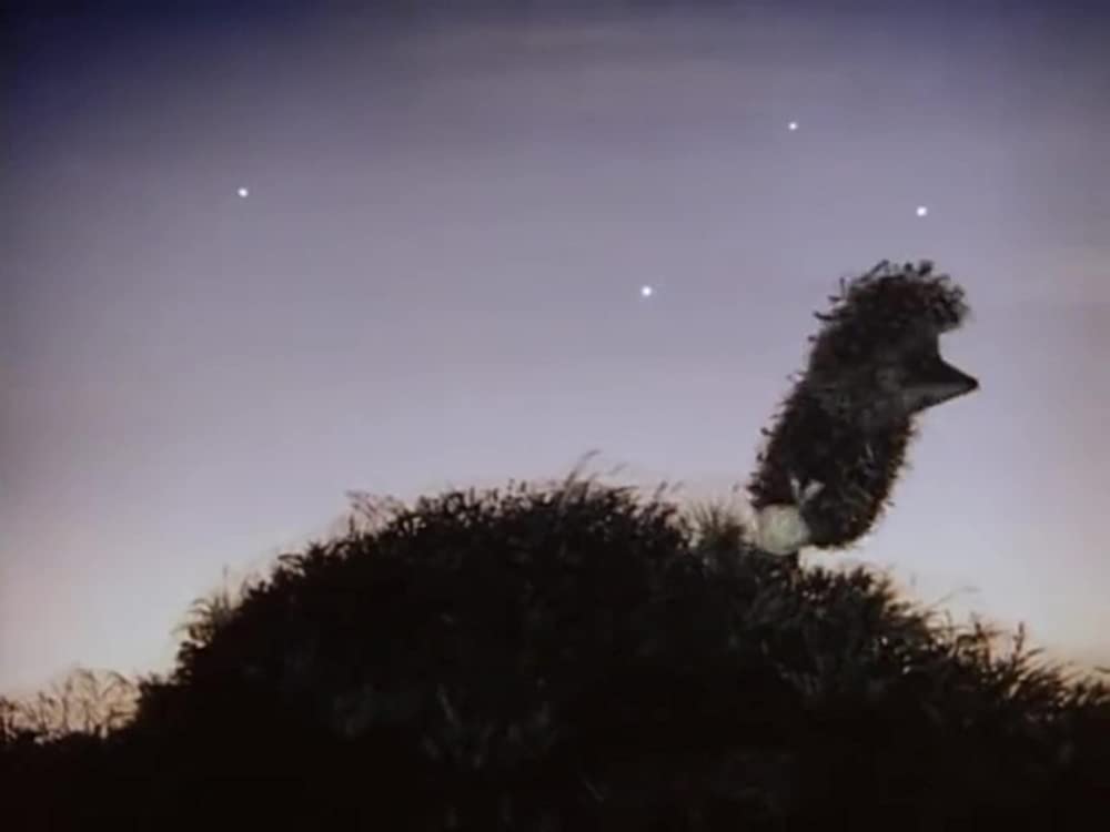 霧の中のハリネズミ／霧につつまれたハリネズミの画像