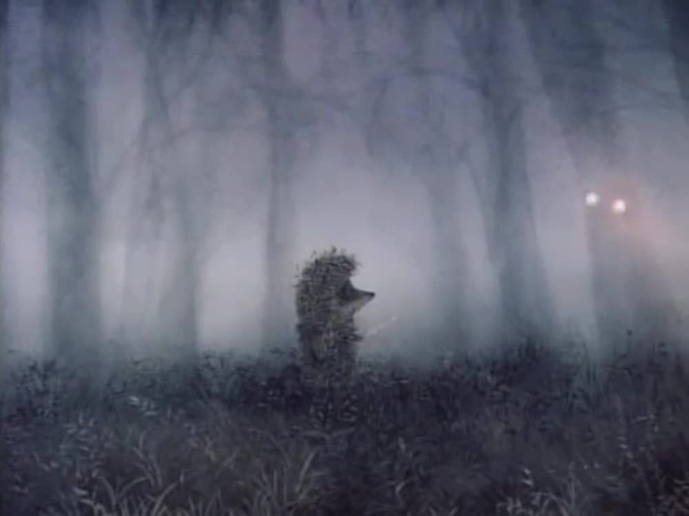 霧の中のハリネズミ／霧につつまれたハリネズミの画像